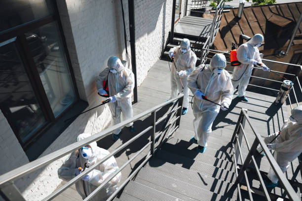 Best Basement Mold Removal  in Guilford Center, CT