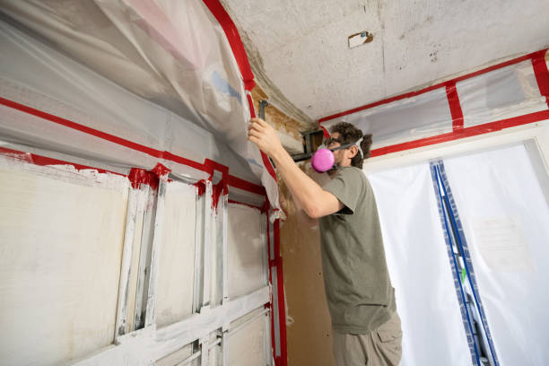 Forensic Mold Investigation in Guilford Center, CT