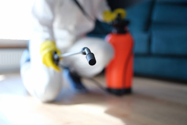 Best Airborne Mold Testing  in Guilford Center, CT
