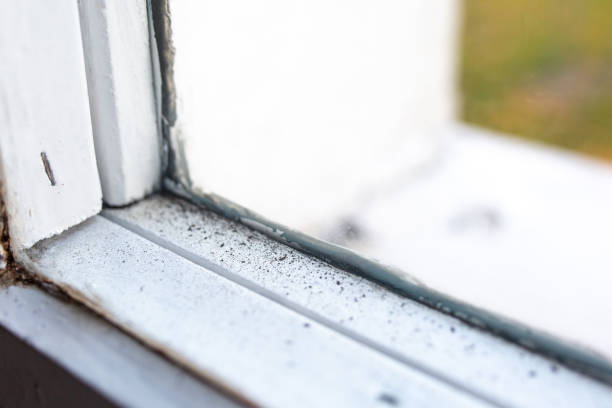 Best Indoor Air Quality Assessment  in Guilford Center, CT