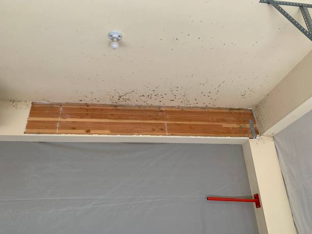 Best Residential Mold Inspection & Testing  in Guilford Center, CT