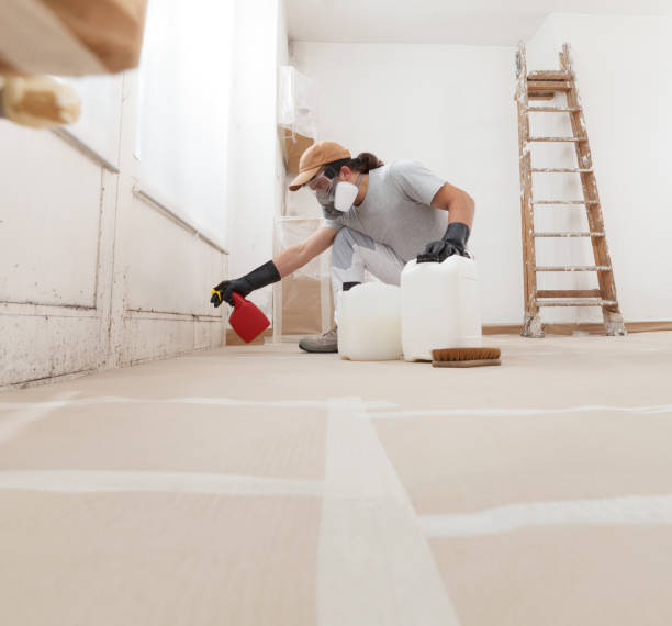 Best Asbestos and Lead Testing During Mold Inspection  in Guilford Center, CT